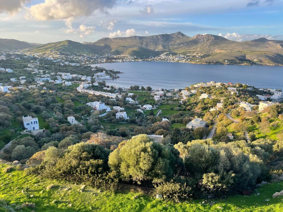 The Velanidies - Οι Βελανιδιές Agia Marina  Exterior foto