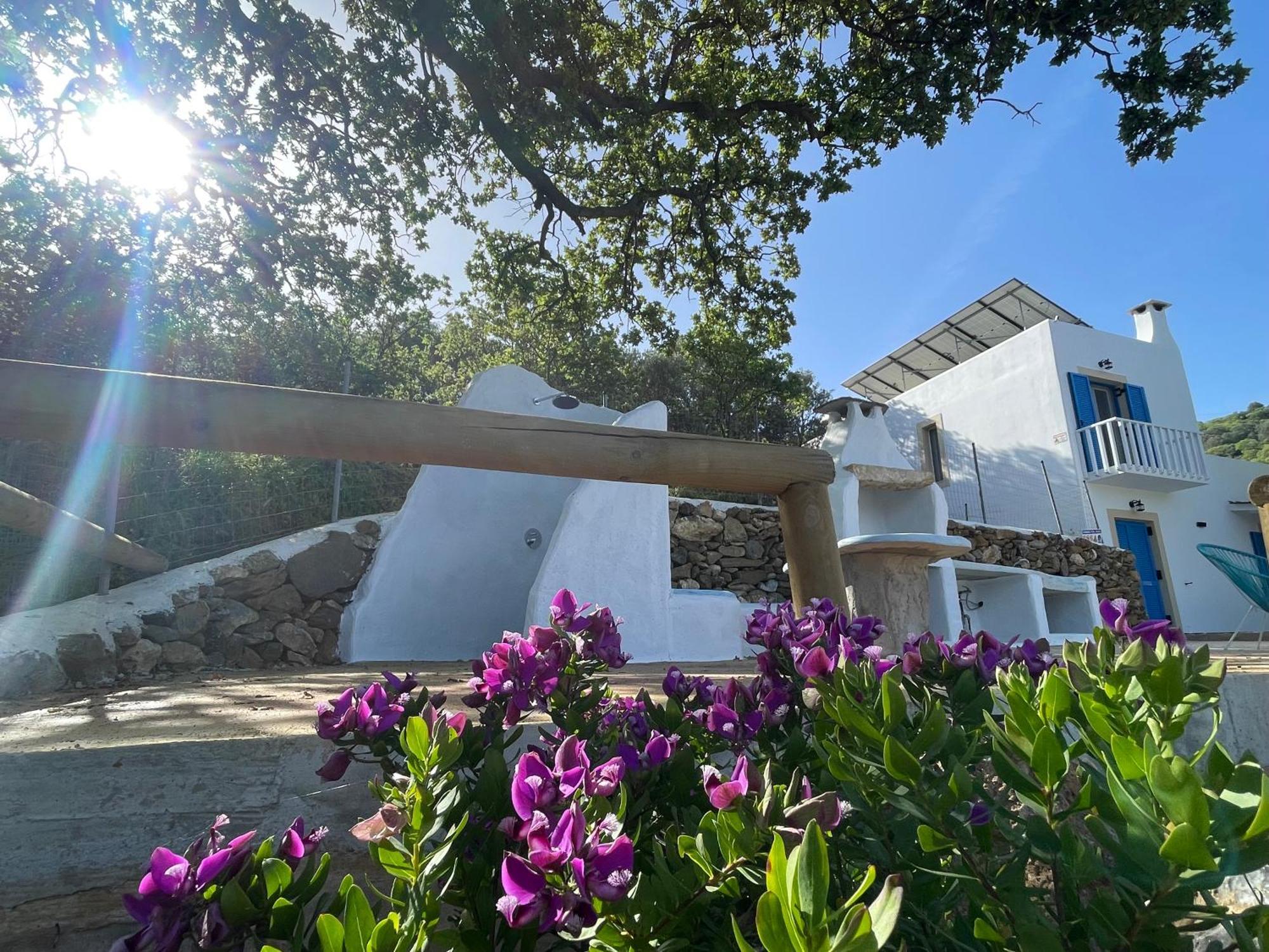 The Velanidies - Οι Βελανιδιές Agia Marina  Exterior foto
