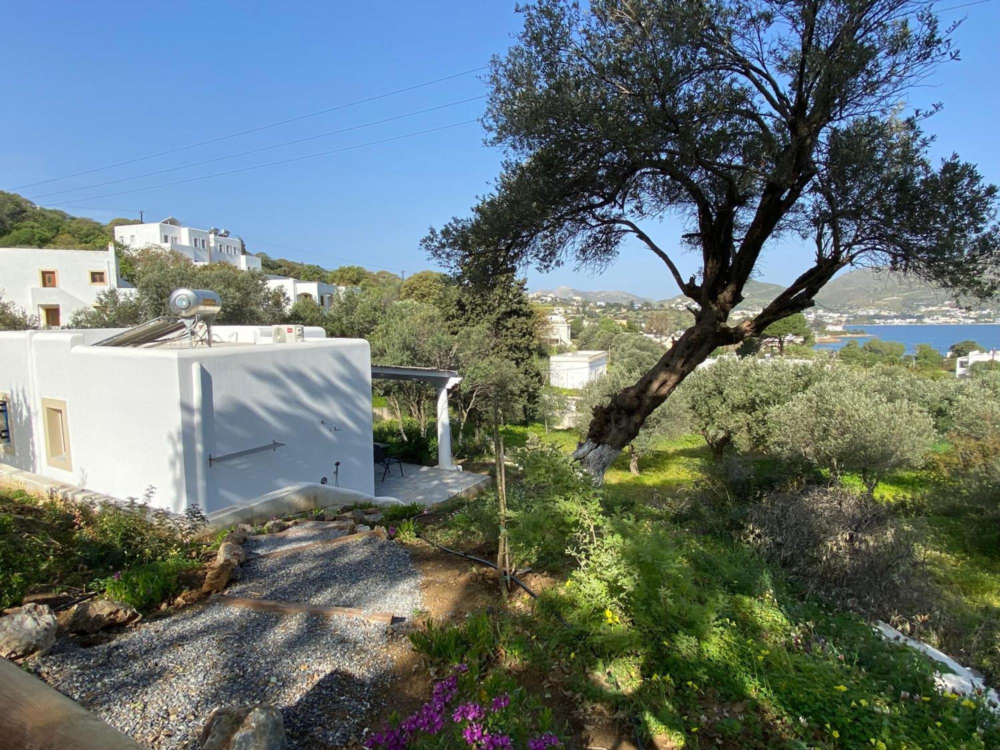 The Velanidies - Οι Βελανιδιές Agia Marina  Exterior foto